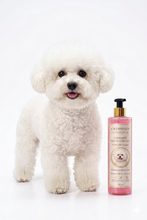 Champú especial pelo blanco Cacopoulos con proteínas de seda