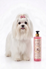 Champú especial pelo blanco Cacopoulos con proteínas de seda
