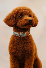 Collar Capri Beach Day